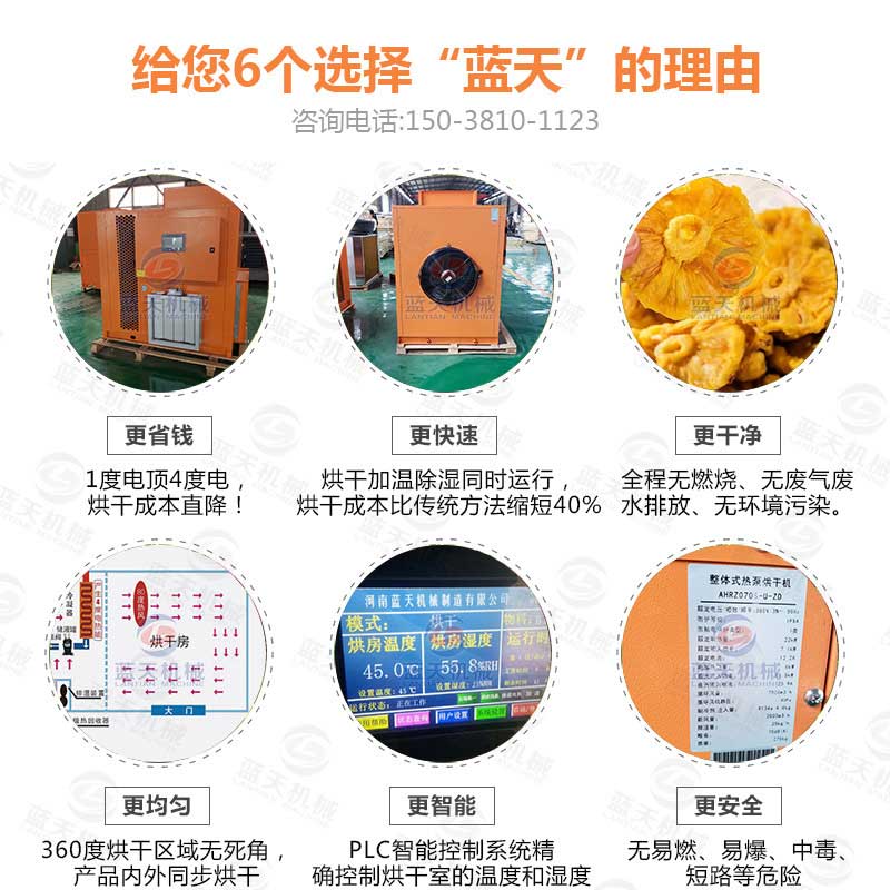 藍(lán)天菠蘿干烘干機
