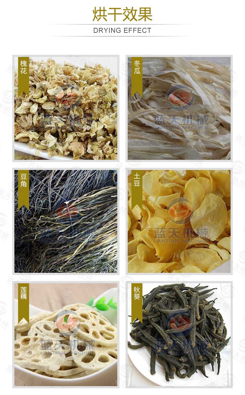 槐花烘干機烘干效果