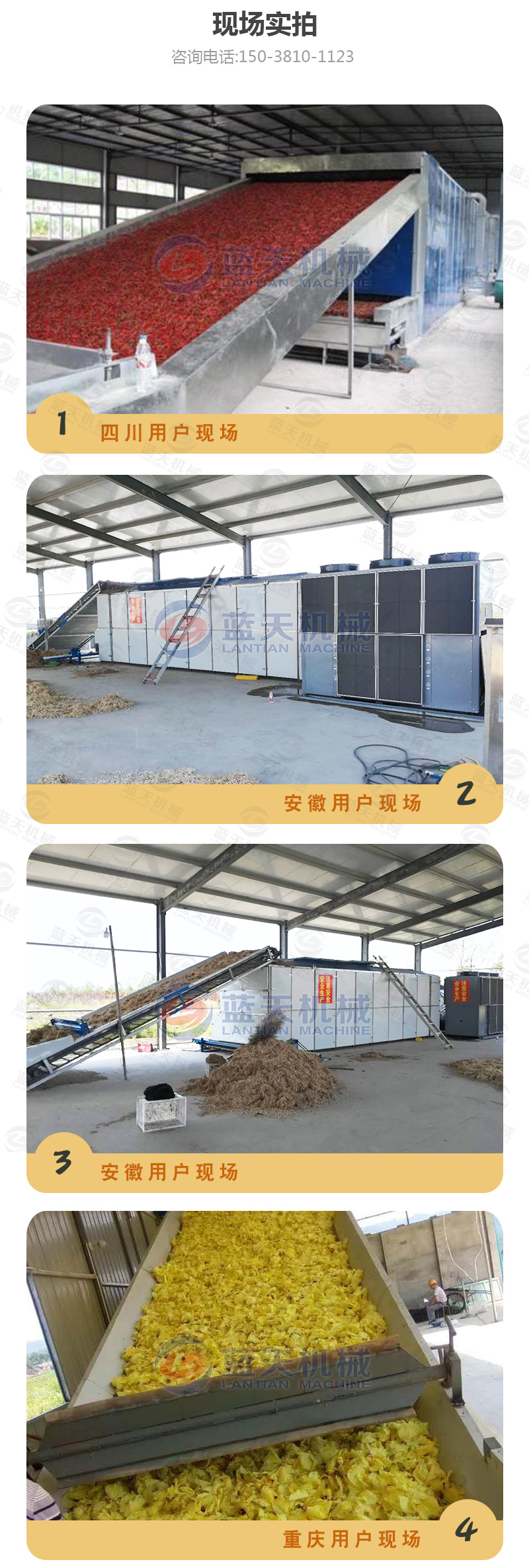 黃花菜烘干機(jī)現(xiàn)場(chǎng)實(shí)拍